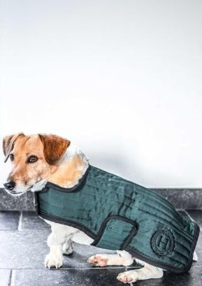 Code Dog Blanket Coat