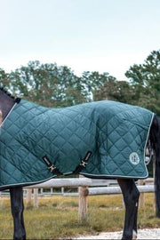Notebook Horse Blanket